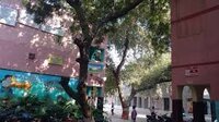 Govt Boys Sr Sec School